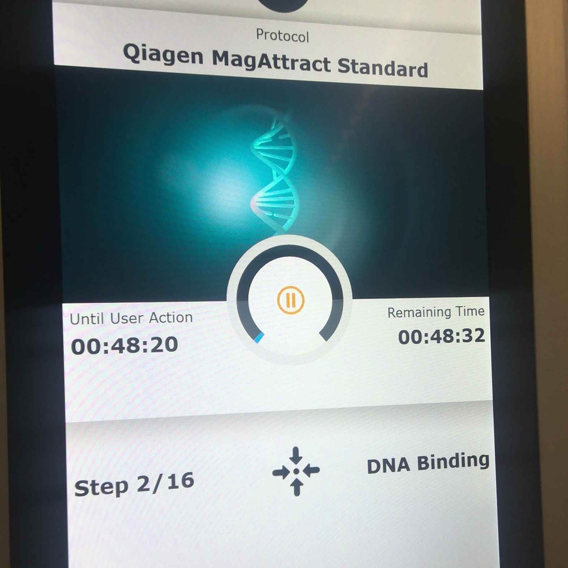 Sanger Tree of Life HMW DNA Extraction: Automated MagAttract v.3