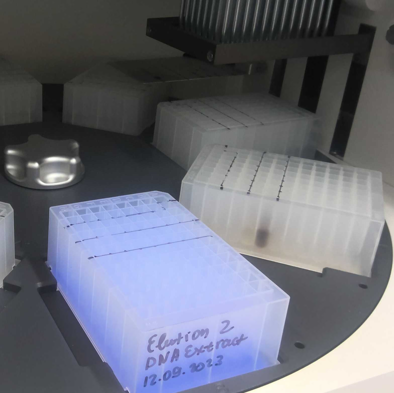 Sanger Tree of Life HMW DNA Extraction: Automated Plant MagAttract v.5