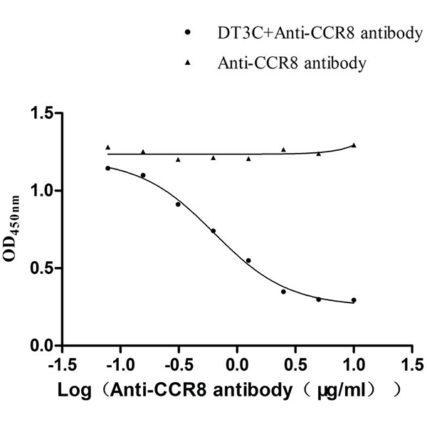 Cell Killing Assay Protocol for Recombinant DT3C Protein (CSB-EP360556CQR1) Complexed with Anti-CCR8 Antibody
