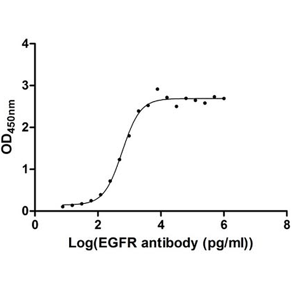 Recombinant Human EGFR His and Myc Tagged, low endotoxin (CSB-MP007479HU) ELISA Protocol