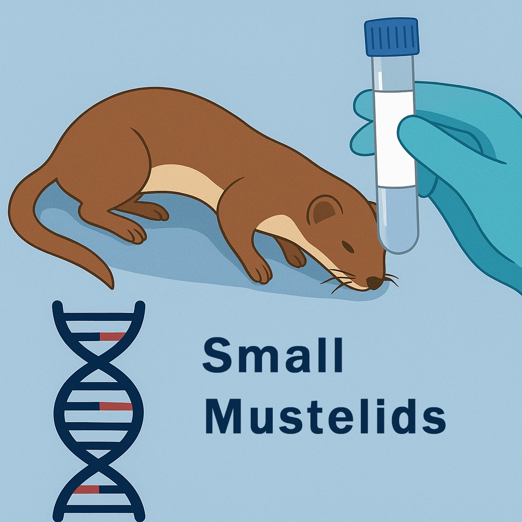 Protocol for Small Mustelid Carcass Collection, Handling, and Storage