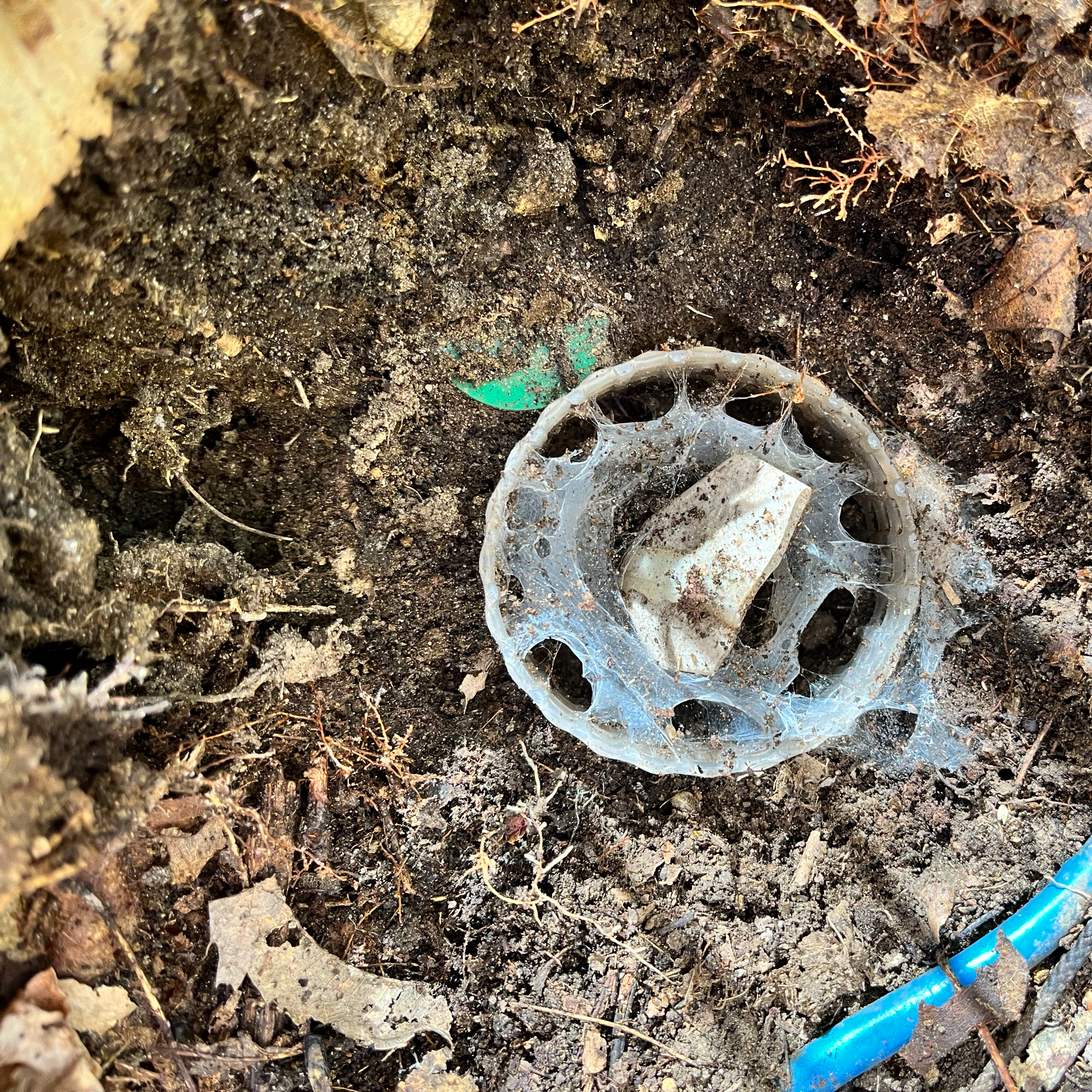 Determining Root and Fungal Derived Soil Organic Carbon Accumulate Rates