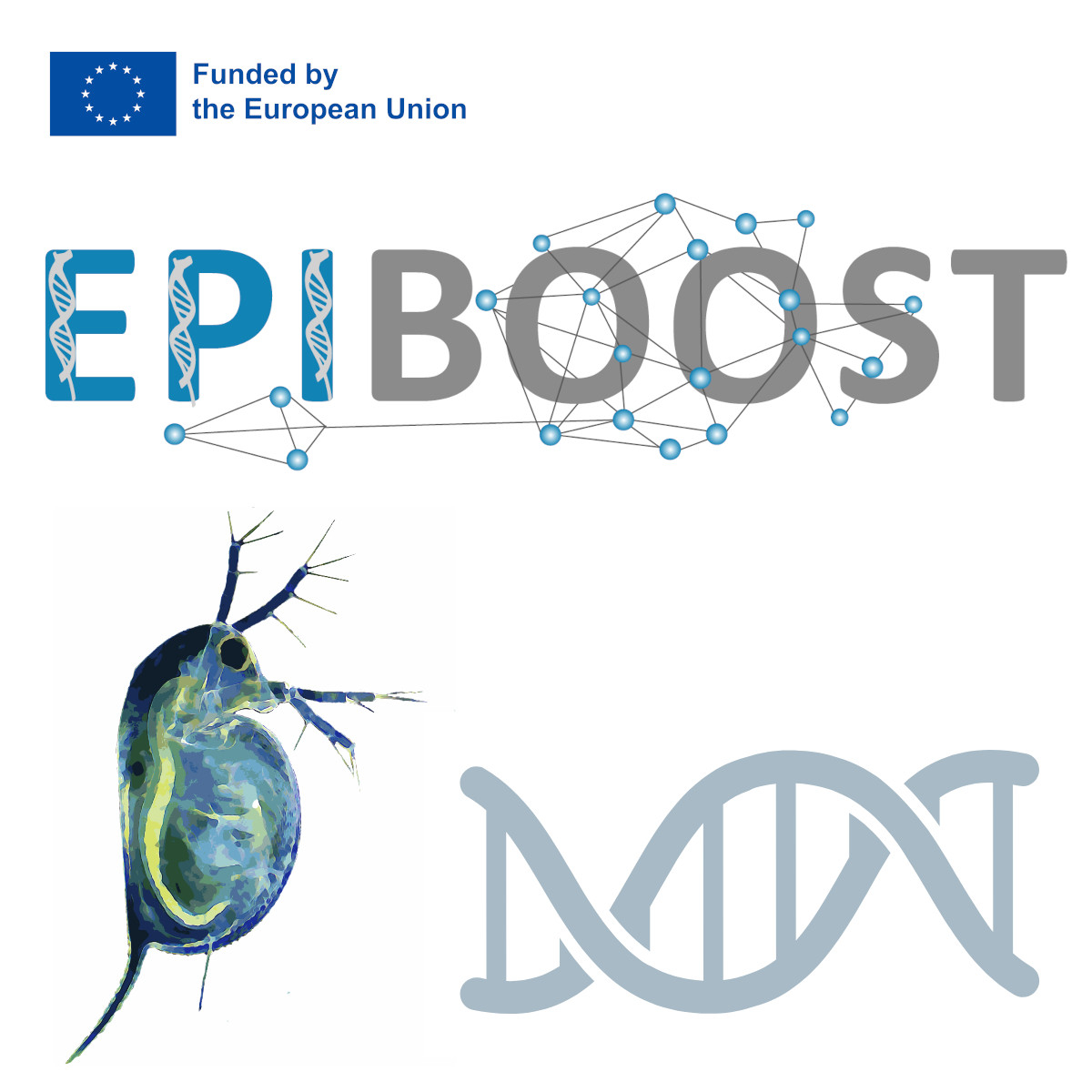 Daphnia magna: DNA extraction for downstream whole genome NGS