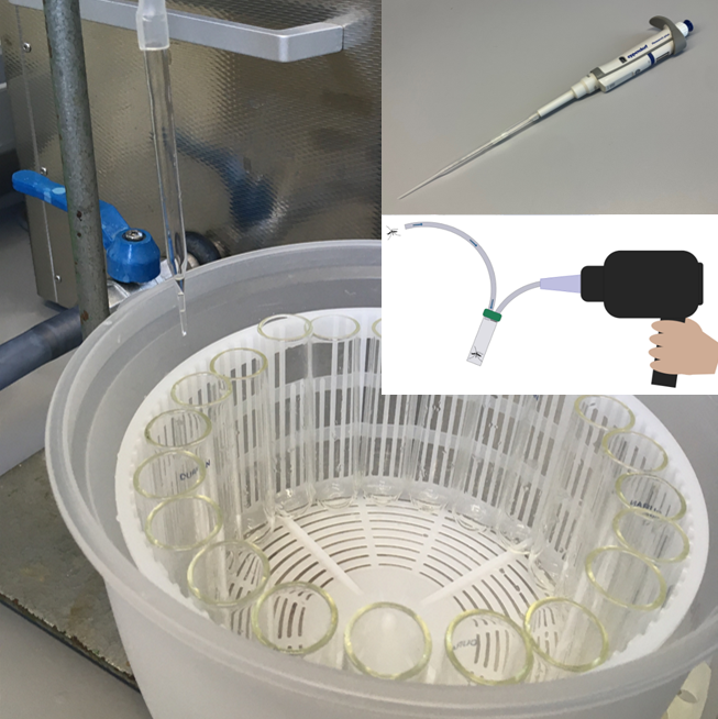 Low-Cost Handling and Distribution Devices for Experimental Work with Chironomids