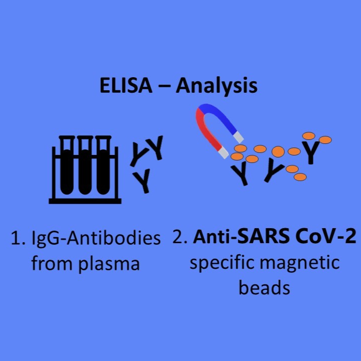 A Simple, Rapid, and Highly Sensitive Magnetic Beads ELISA for Detection of  SARS CoV-2   antibodies (IgG) in Plasma Samples as a Point of Care Assay