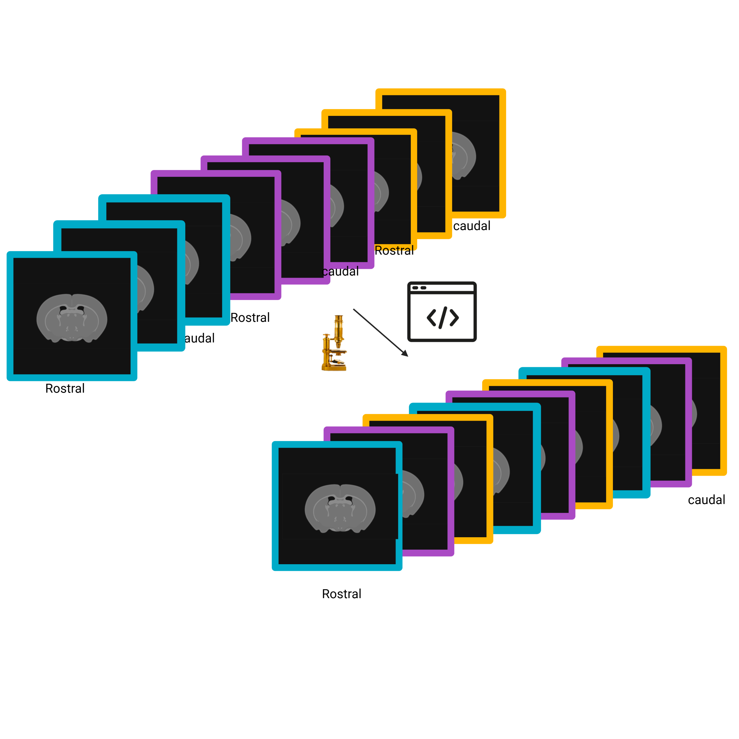 Reorder interleaved FLAIR slices (ImageJ macro)