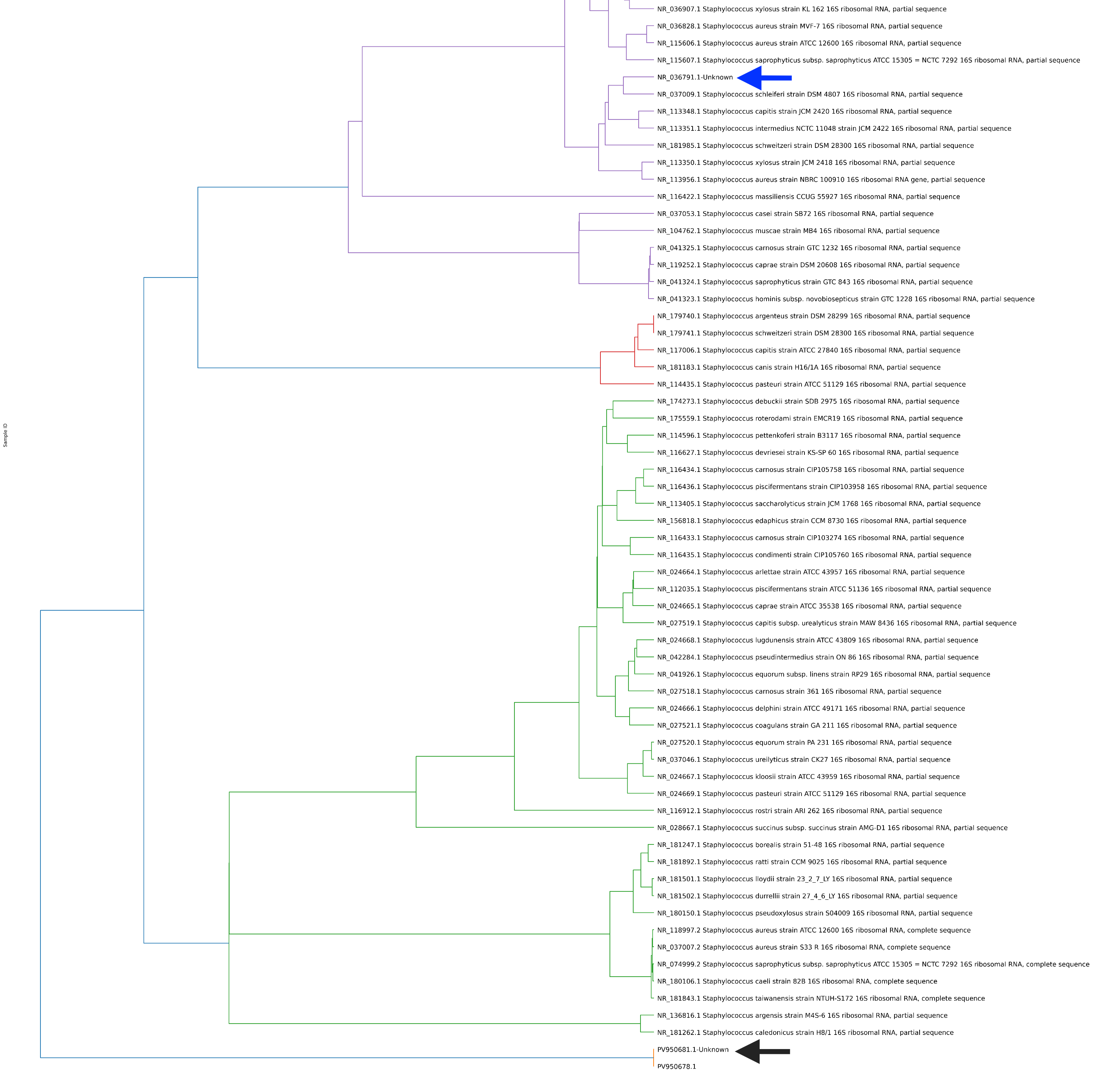Machine learning-based phylogenetic analysis using Covary
