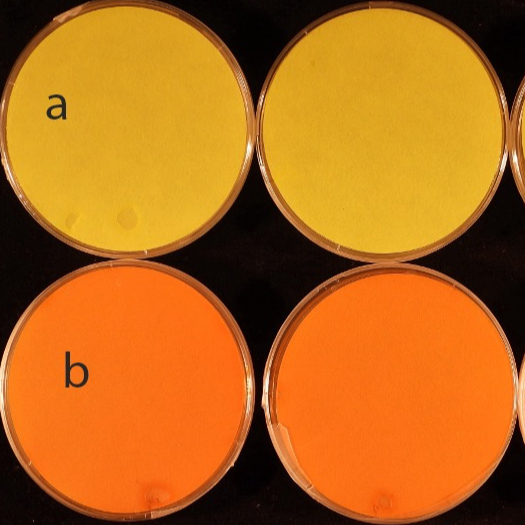 Hydrogen Cyanide (HCN) Detection Assay