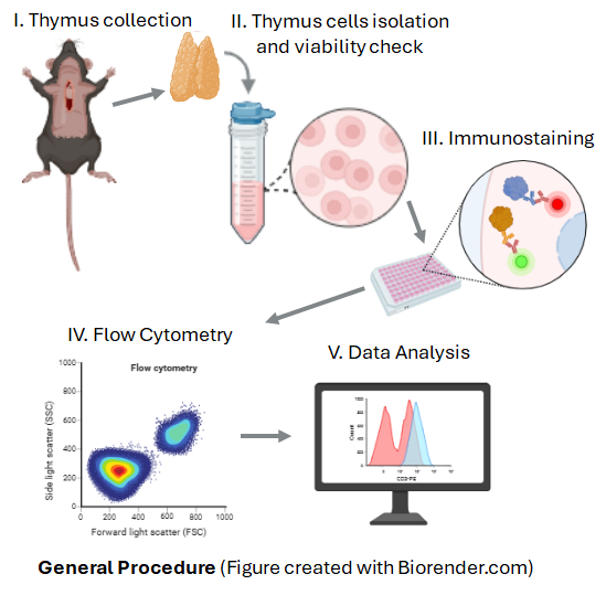 Multicolor Flow Cytometry Approach for Analysis of Stromal and Thymocyte Cell Populations in the Mouse Thymus