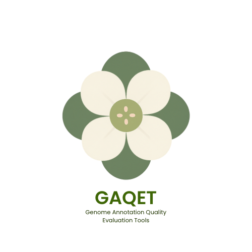 Structural Genome Annotation QC with GAQET2