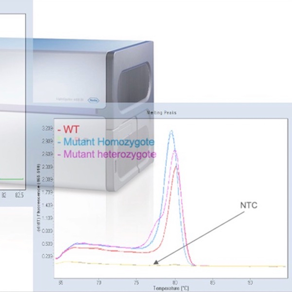 HRM - High‑Resolution Melting analysis for SNP genotyping, indel detection and CRISPR screening