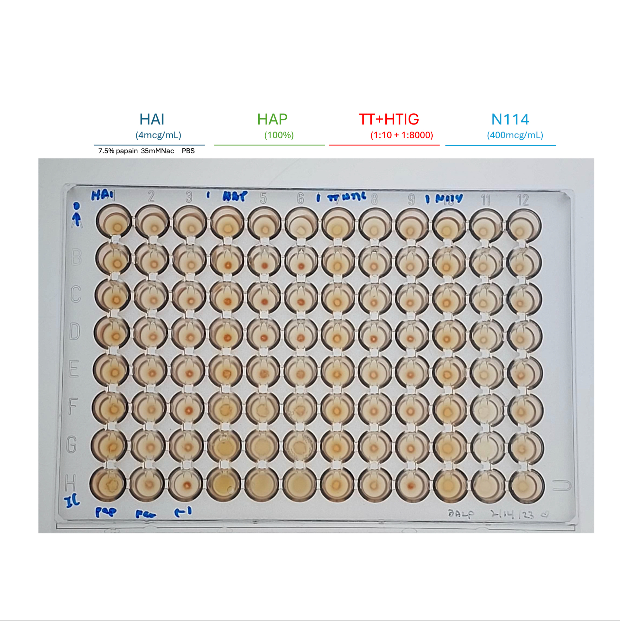 Immune Adherence Hemagglutination Assay