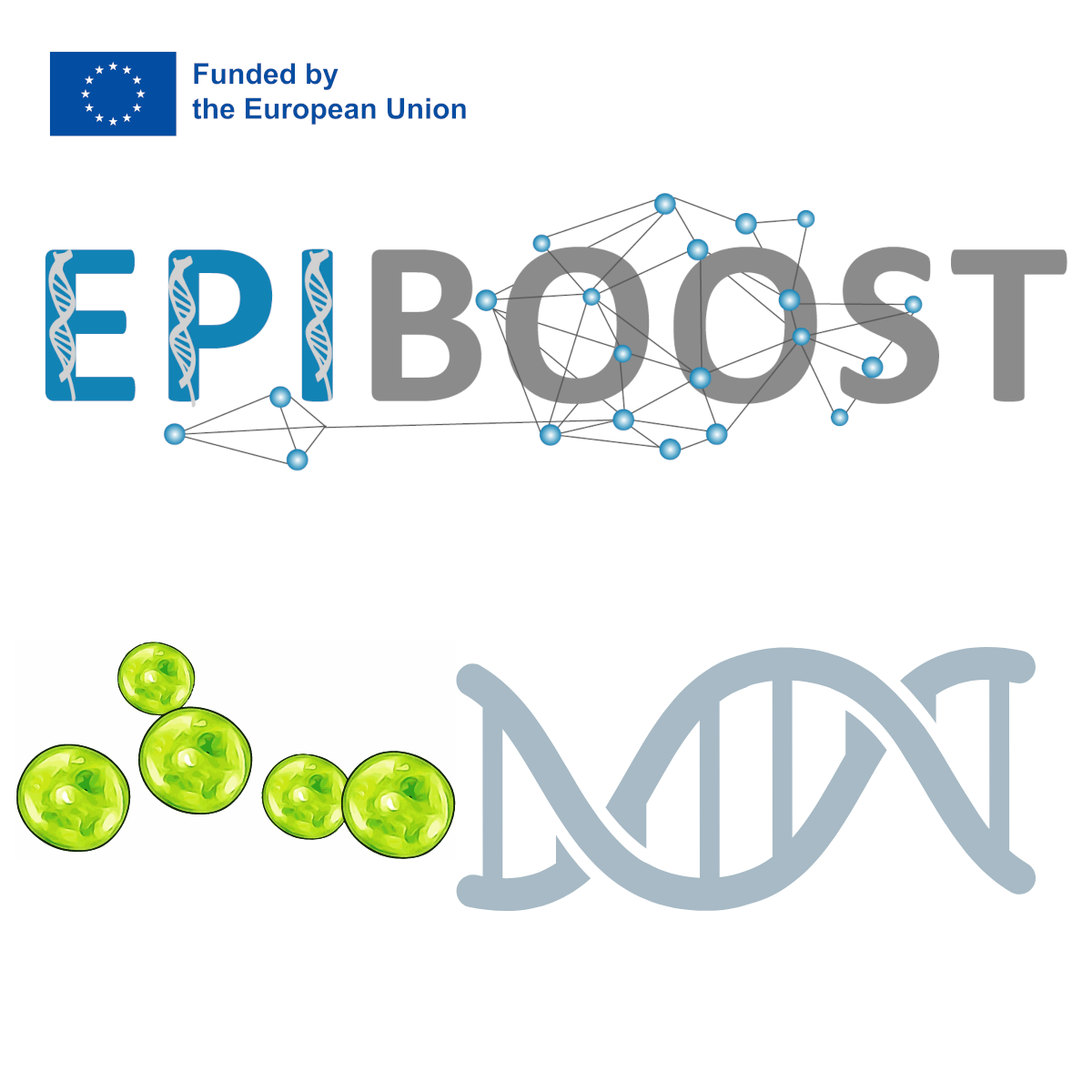 Green microalgae: DNA extraction and preliminary quality control