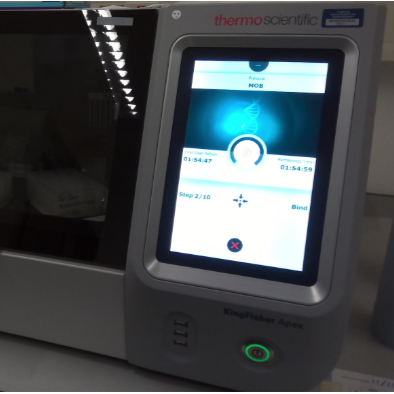 Sanger Tree of Life HMW DNA Extraction: Automated Modified Omega Bio-Tek E.Z.N.A.®