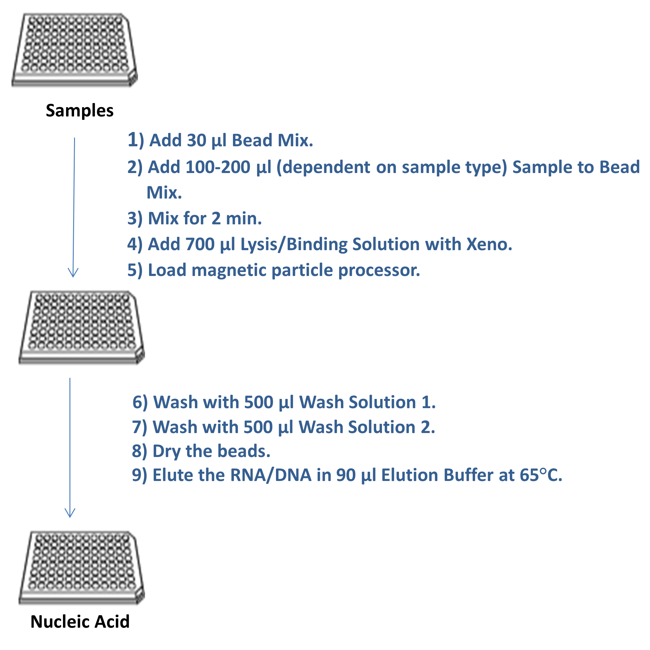 Nucleic Acid Extraction Using the MagMAX™ CORE Nucleic Acid Purification Kit on a Magnetic Particle Processor