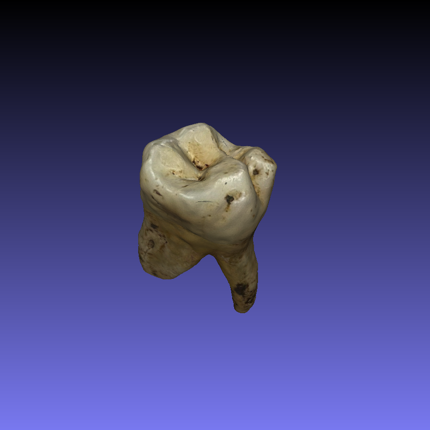  3D Scanning of Archaeological Teeth Using Polycam and MeshLab.