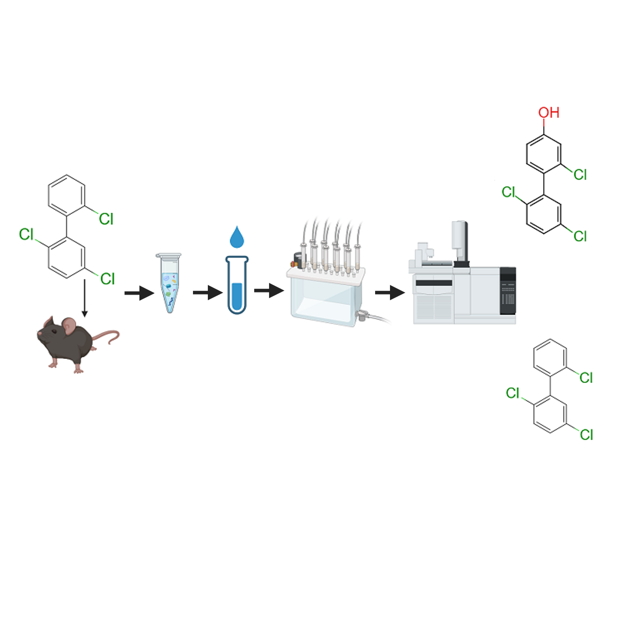 Extraction of PCB18 (2,2',5-Trichlorobiphenyl) and Its Hydroxylated Metabolites from Animal Serum