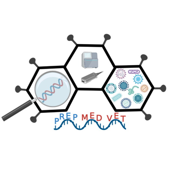 One Health metagenomic next-generation sequencing for virus discovery