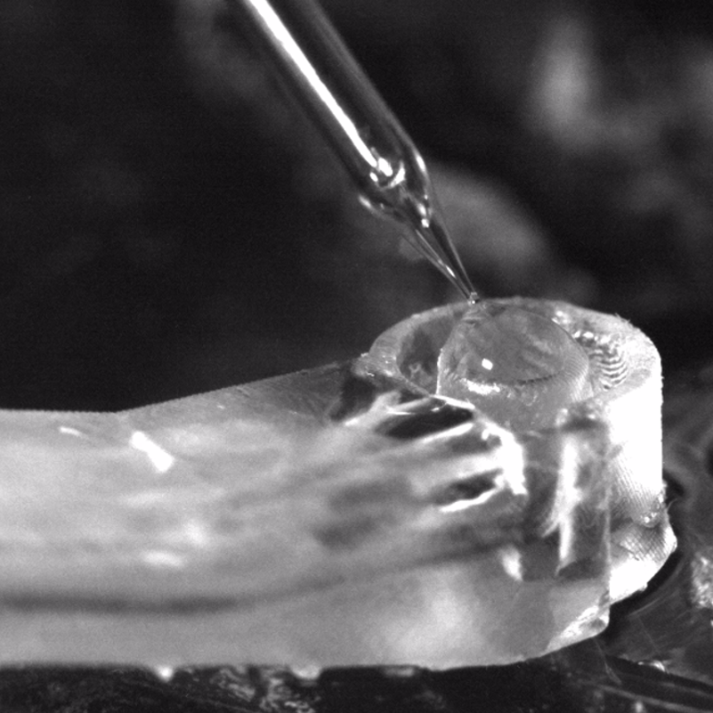 Pipette Cleaning Well Assembly for Electrophysiology Systems