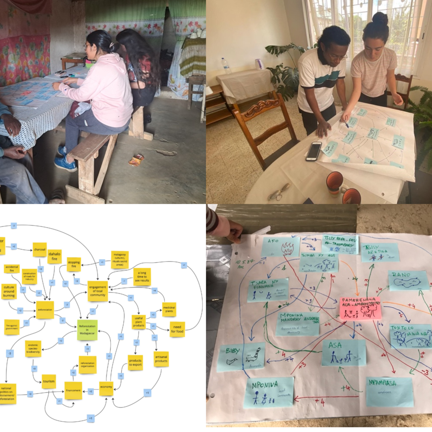 Fuzzy Cognitive Mapping as Tool to Understand Socio-Ecological Systems