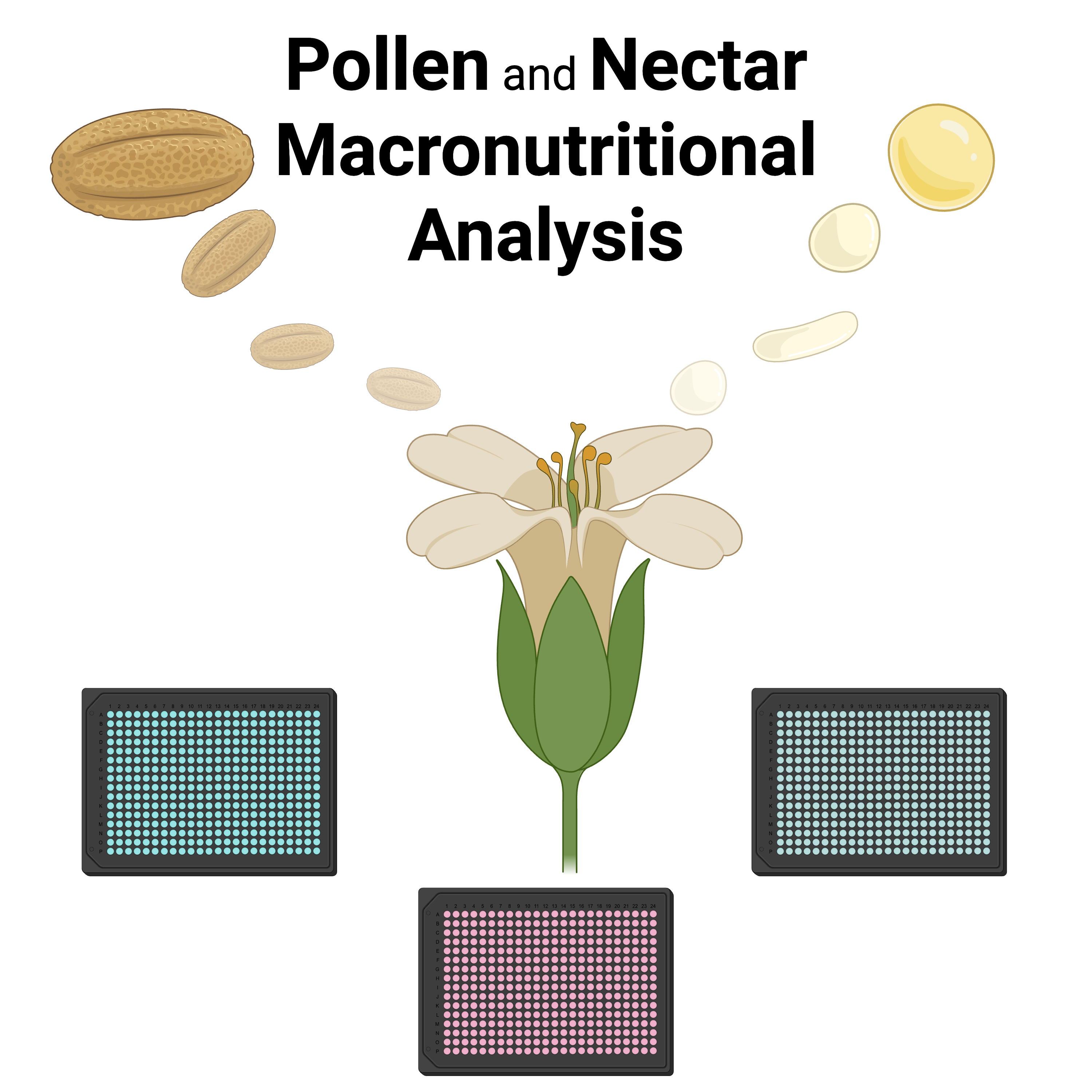 PoNeMA: Pollen and Nectar Macronutritional Analysis 