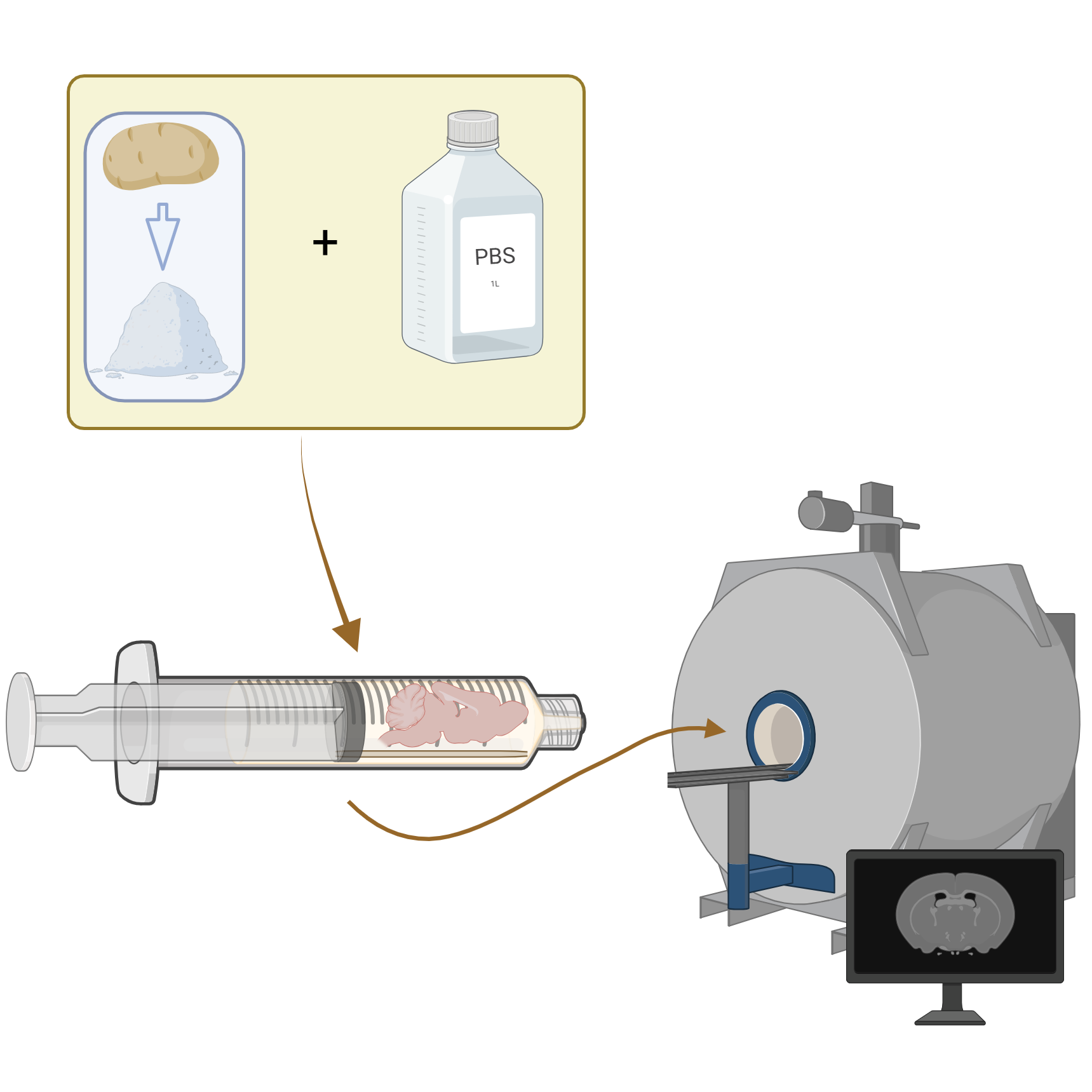 Whole organ sample embedding in potato starch suspension for ex vivo high field preclinical MRI