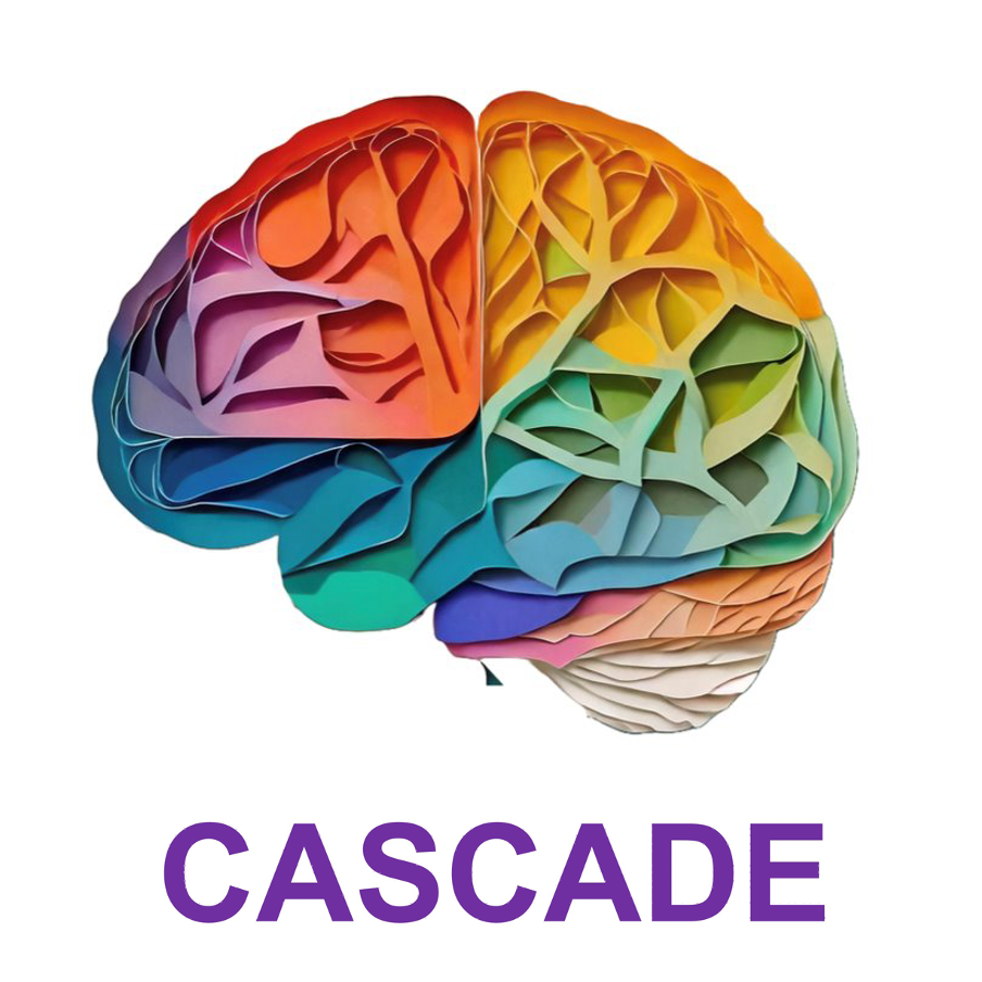 FFPE Post-Xenium Iterative Indirect Immunofluorescence Imaging (4i) 