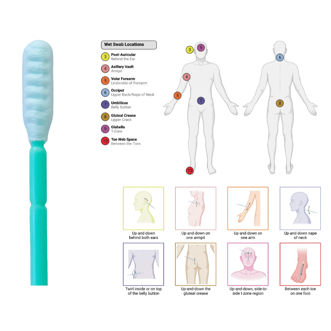 CAMbank: Body Microbiome Swabbing (v1)