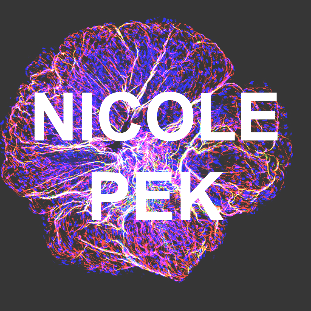 Generating vessel organoids (VOs) from hiPSCs - A Detailed, Step-By-Step Guide