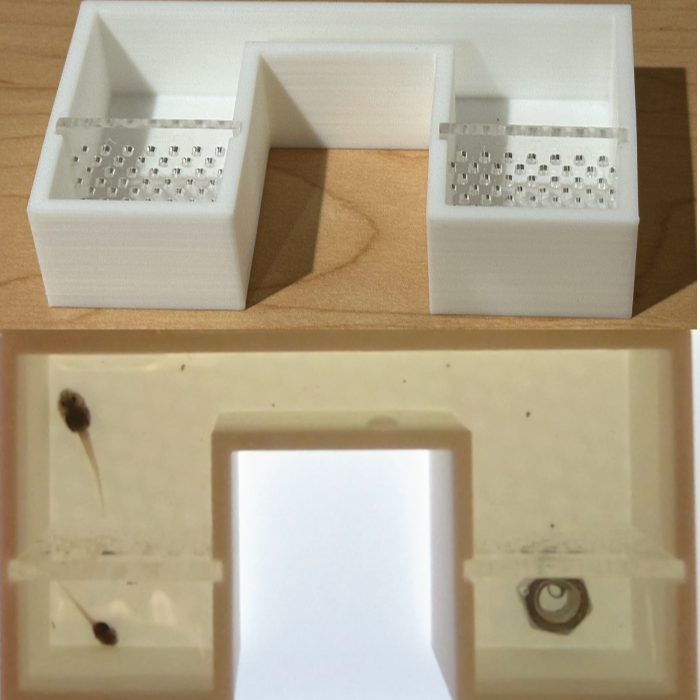 3D-printed social place preference assays for aquatic larvae