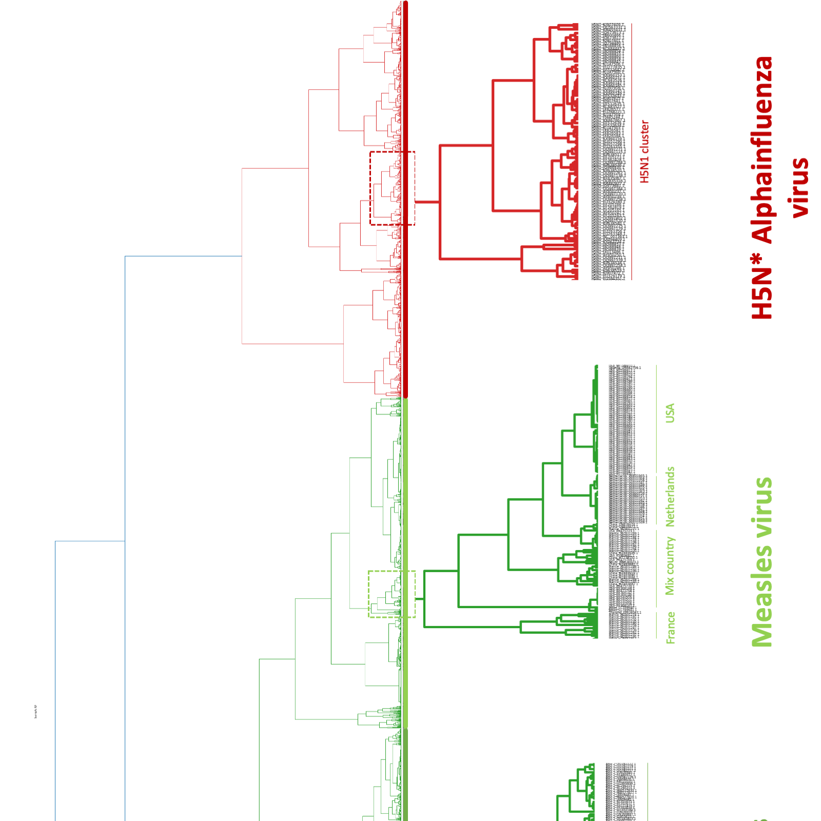 Rapid, large-scale and multi-species phylogenomic analysis using Covary 