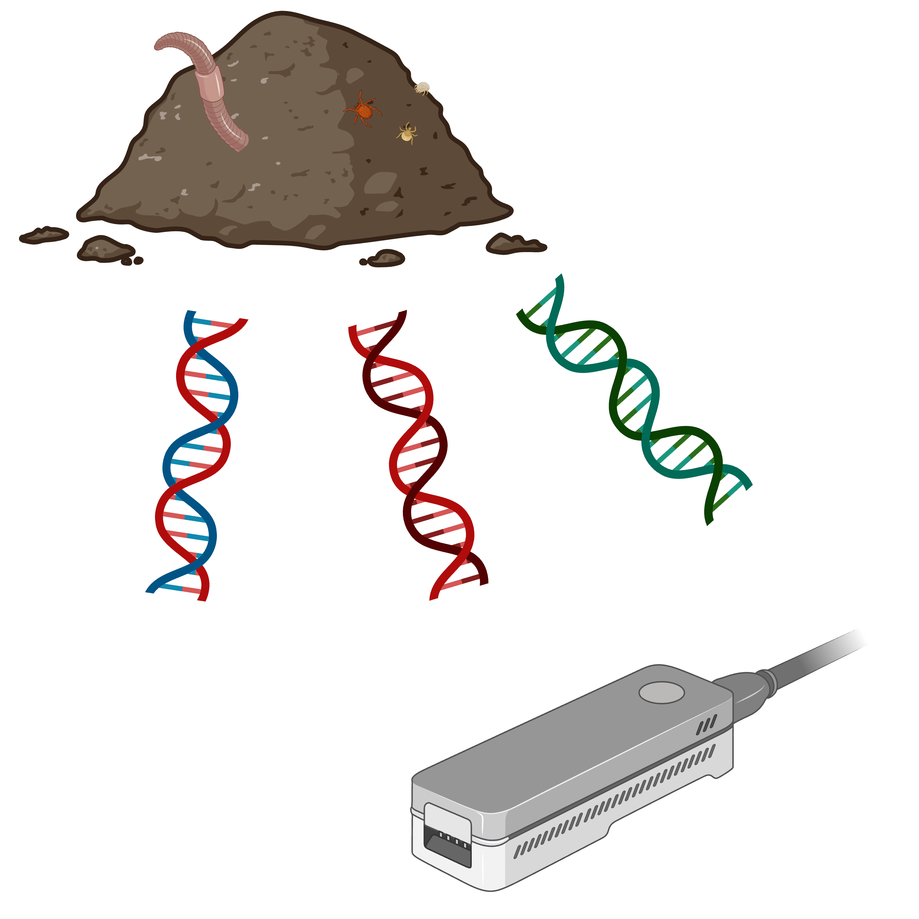 Streamlined DNA metabarcoding of soil and wood rot invertebrate communities 
