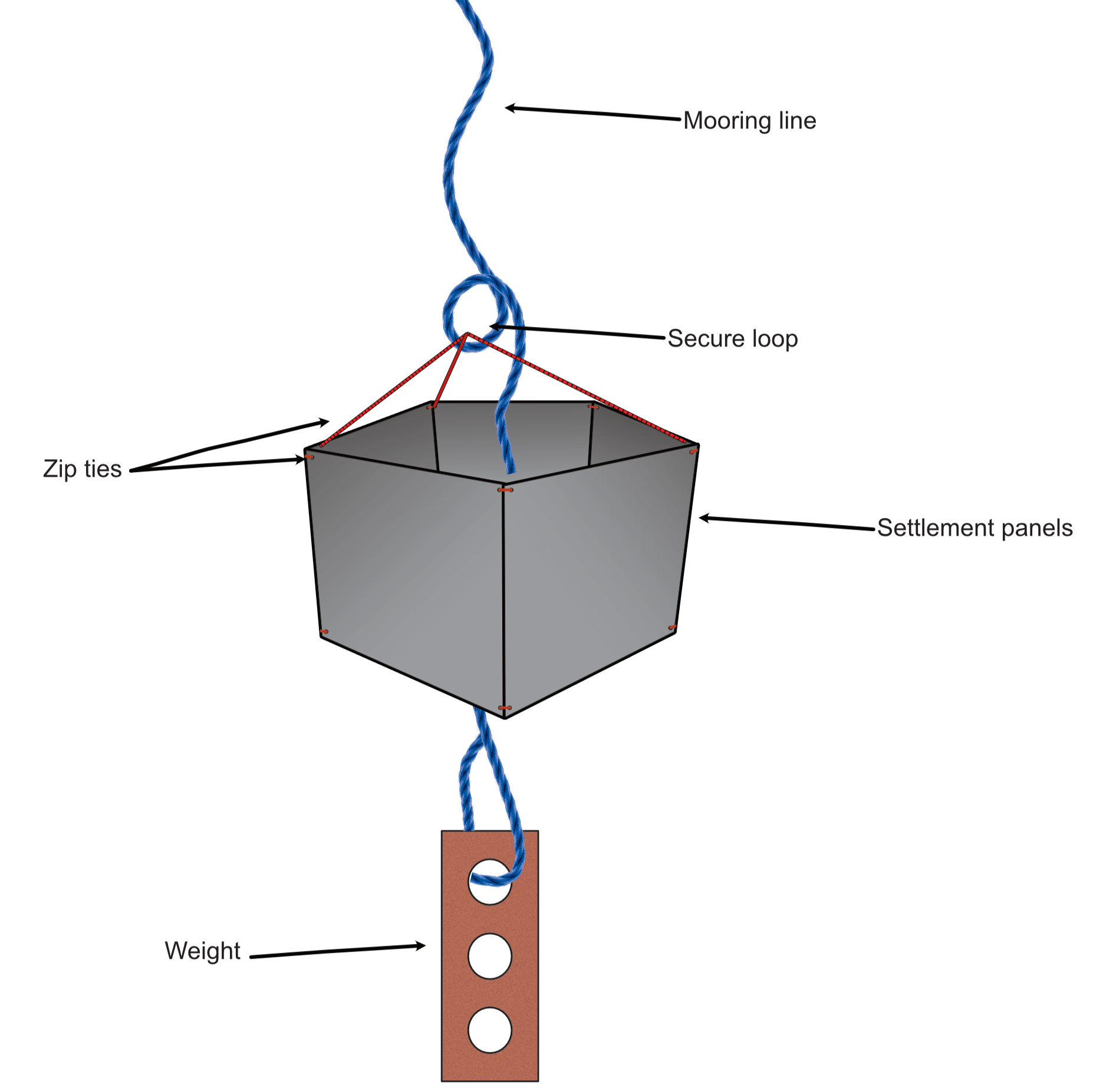 Molecular monitoring of biofouling communities using settlement panels and diagnostic assays