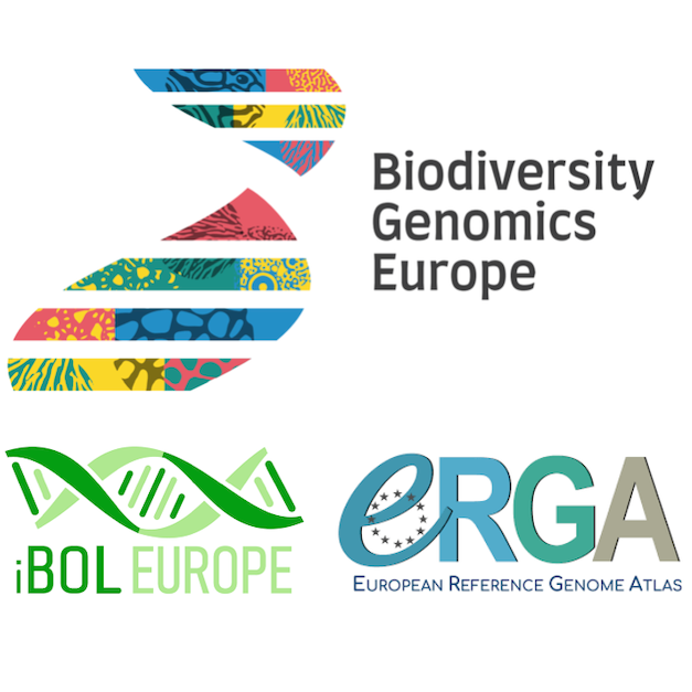 Plant DNA extraction with Qiagen Genomic Tip 