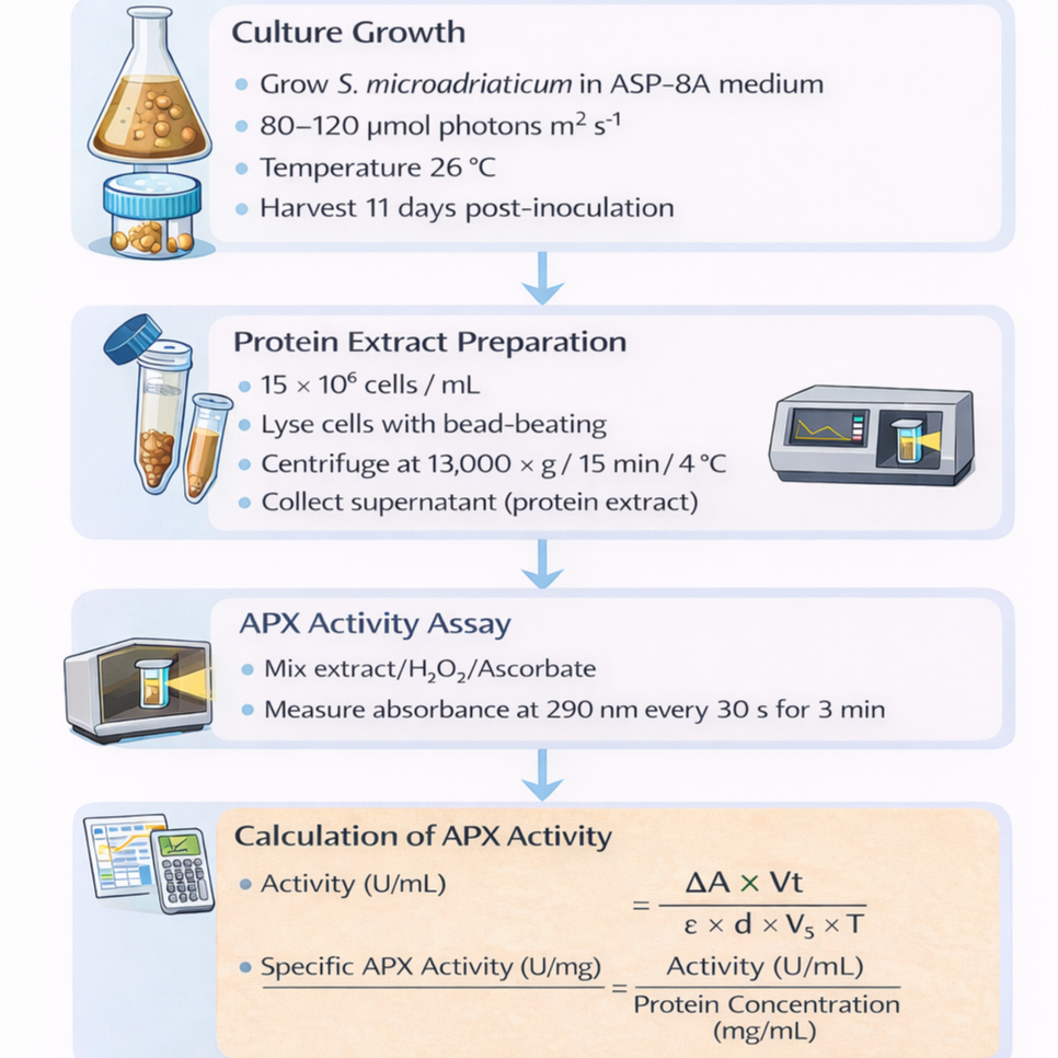 Determination of Ascorbate Peroxidase (APX) Activity in the Cnidarian Symbiont Dinoflagellate Symbiodinium microadriaticum Using Spectrophotometric Detection of Ascorbate Oxidation
