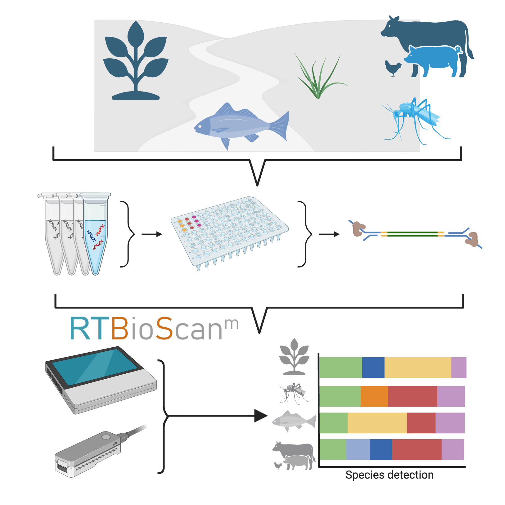 Universal plant and animal eDNA metabarcoding using Nanopore sequencing
