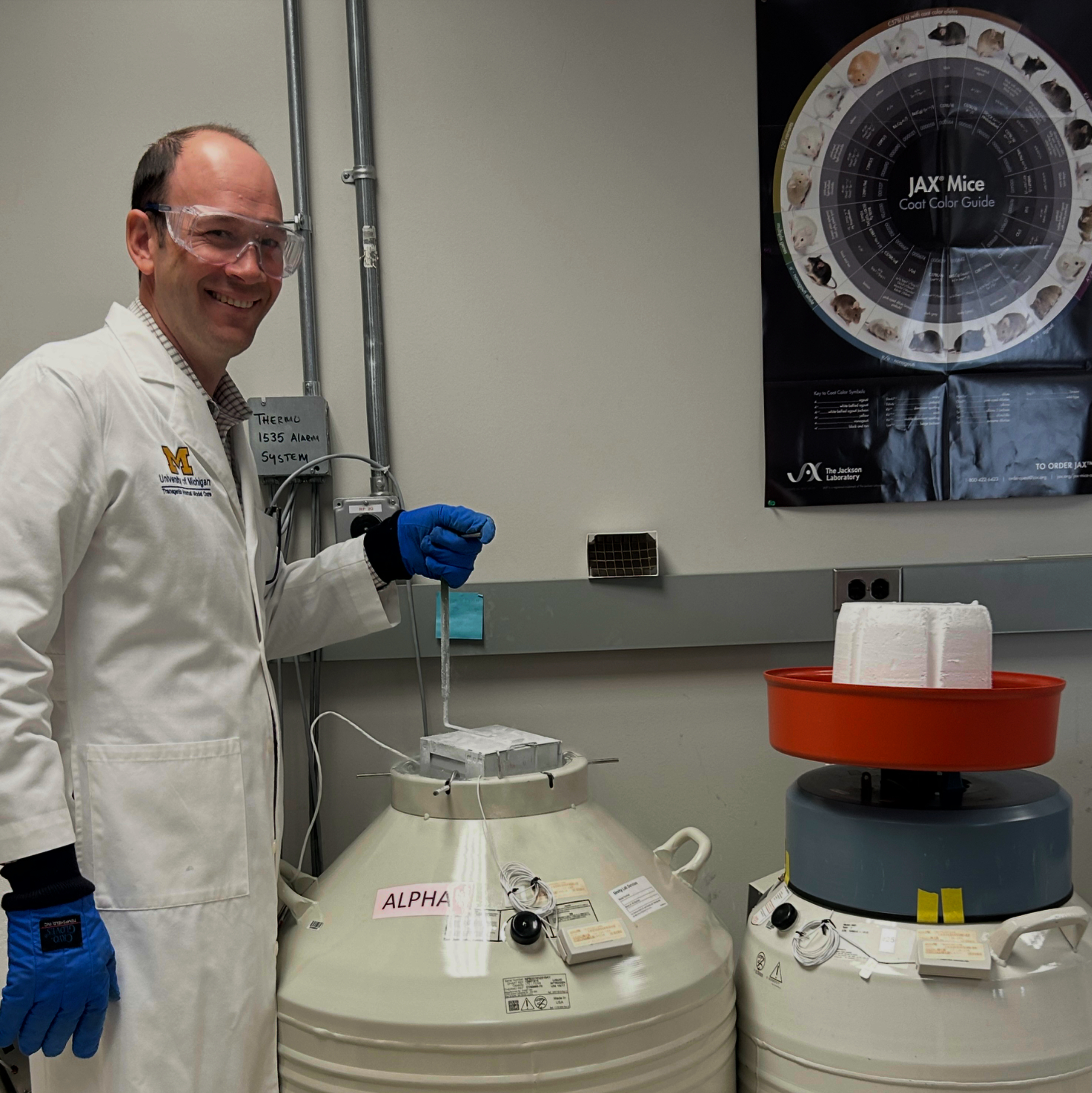 Mouse and Rat Embryo Freezing and Recovery by Vitrification