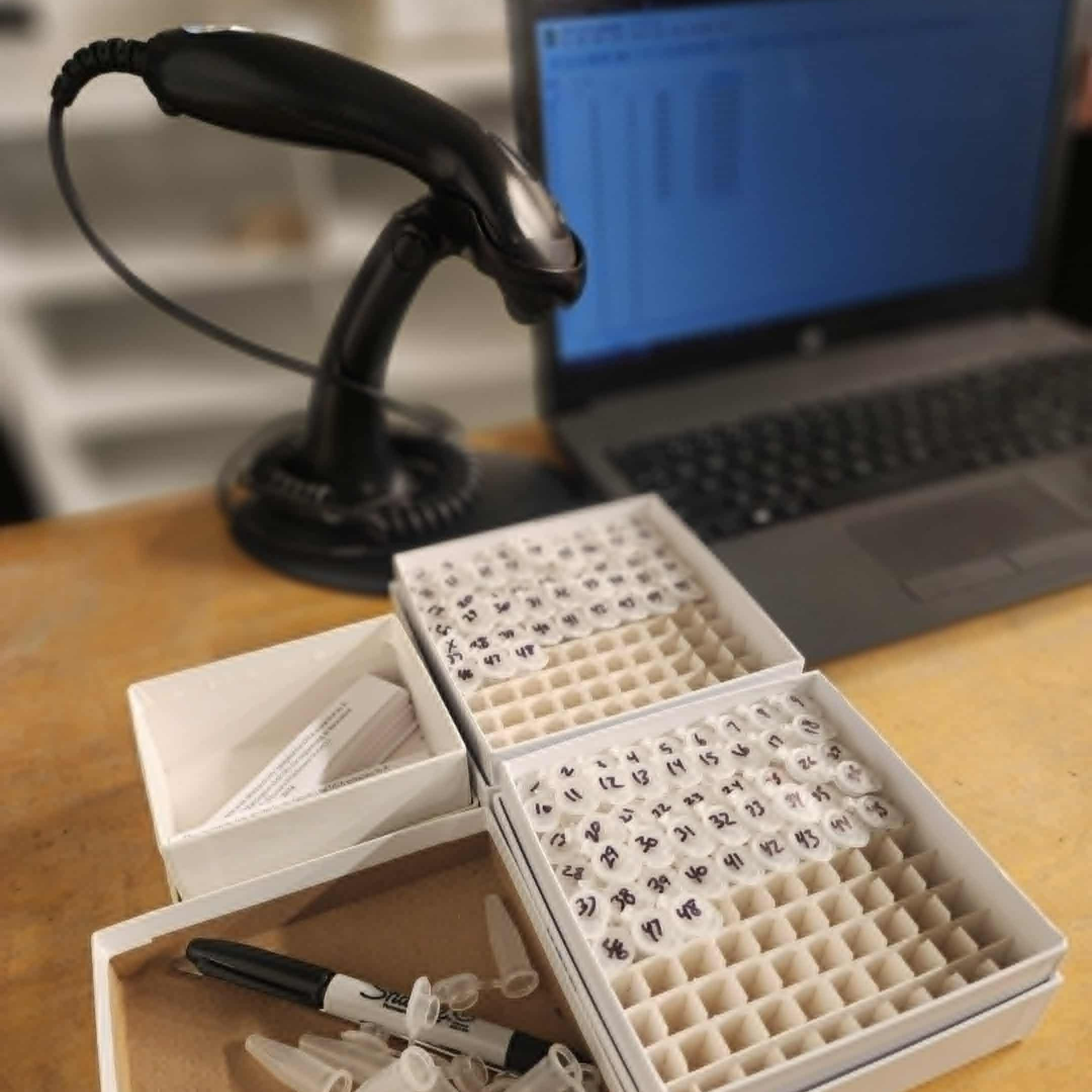 Fungal/Lichen Museum Specimen Extraction, Amplification, and Sequencing