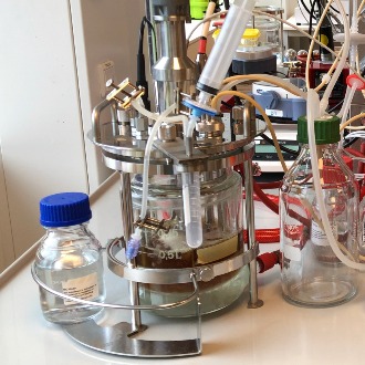 Icon representing the file Protein expression in Bacillus subtilis