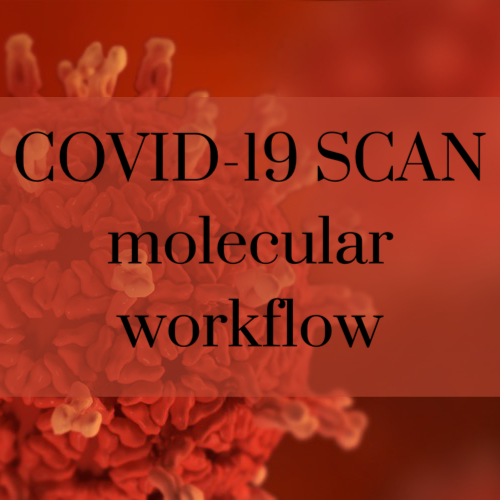 COVID-19 SCAN molecular workflow