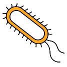 Icon representing the file Protein expression and extraction of hard-to-produce proteins in the periplasmic space of Escherichia coli