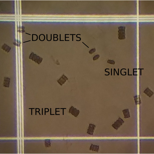 Counting Microalgae Culture Density V.2