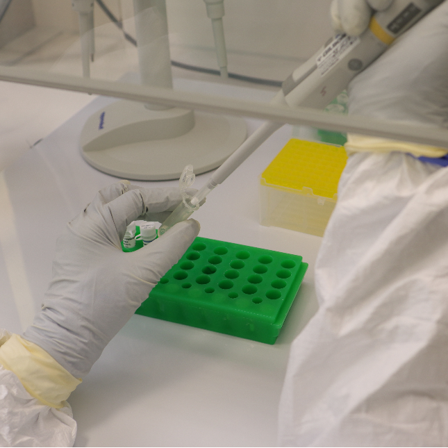 Non-UDG treated double-stranded DNA library preparation for Illumina ...