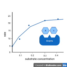 Fitting enzyme kinetics data with Solver
