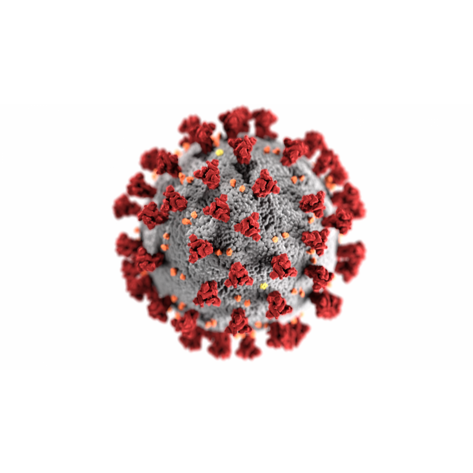 Icon representing the file SARS-CoV-2 Sequencing on Illumina MiSeq Using ARTIC Protocol: Part 2 - Illumina DNA Flex Protocol