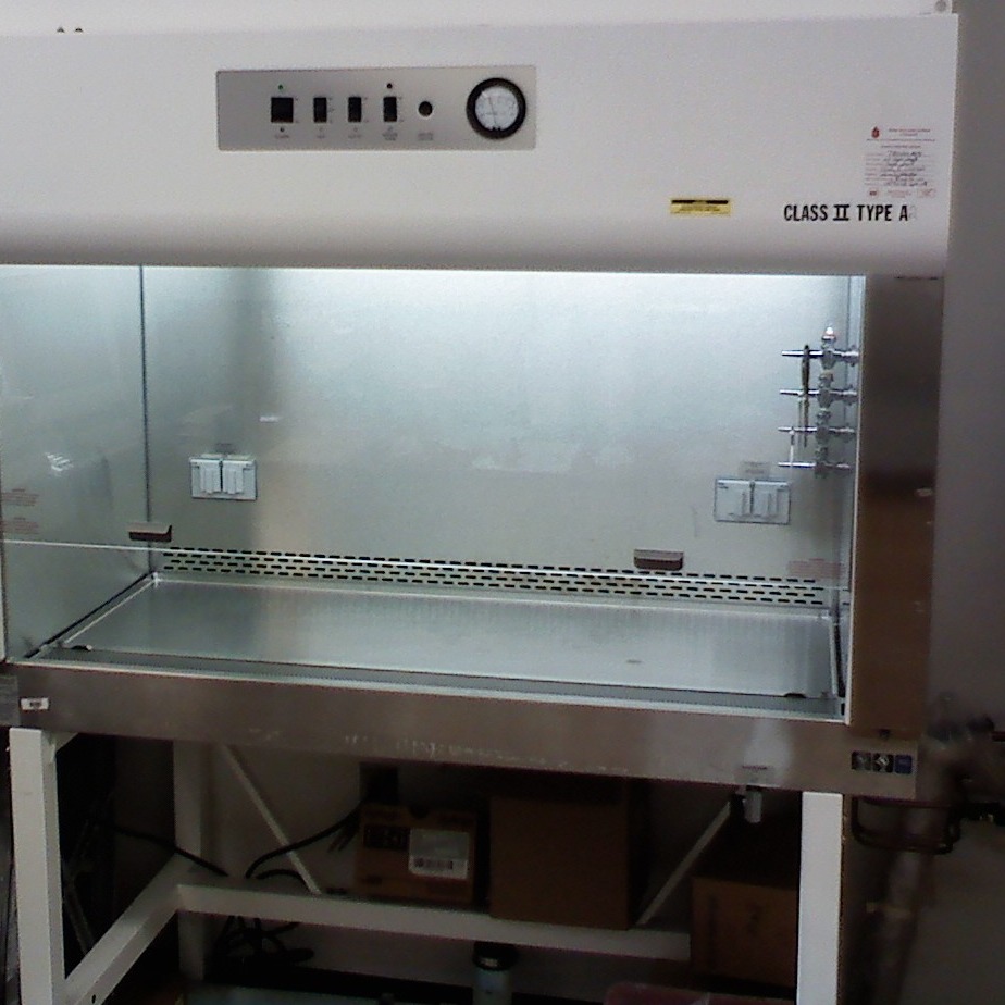 Cleaning up a biohazardous spill in a biosafety cabinet