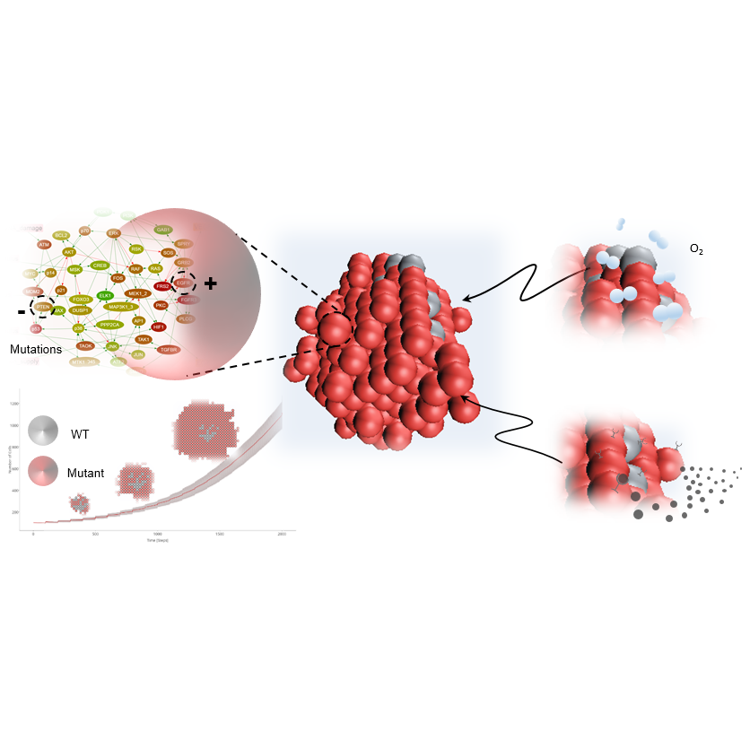 microC: A 3D virtual microenvironment for perturbation biology V.1