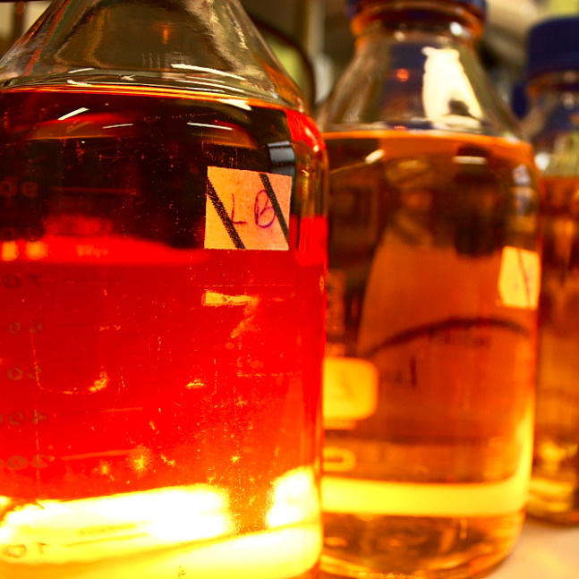 Bacterial Media Preparation