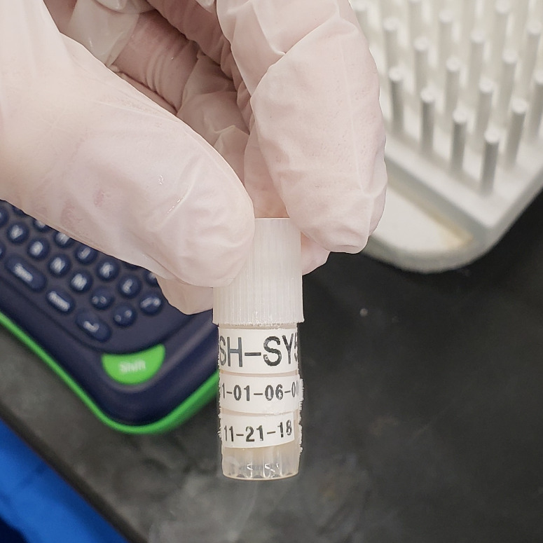 Mammalian Cell Culture: Freezing