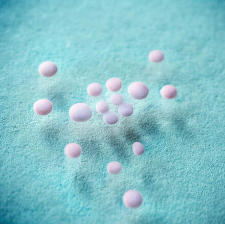 Generation of hCS from hiPSC maintained in feeder-free conditions